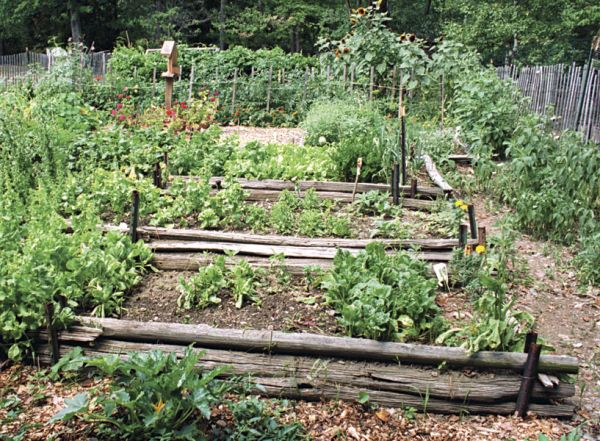 fall-vegetable-garden-ideas-59_14 Идеи за есенна зеленчукова градина