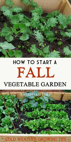 fall-vegetable-garden-ideas-59_17 Идеи за есенна зеленчукова градина