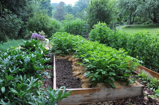 fall-vegetable-garden-ideas-59_18 Идеи за есенна зеленчукова градина