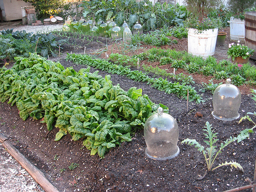 fall-vegetable-garden-ideas-59_19 Идеи за есенна зеленчукова градина