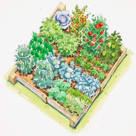 fall-vegetable-garden-ideas-59_6 Идеи за есенна зеленчукова градина
