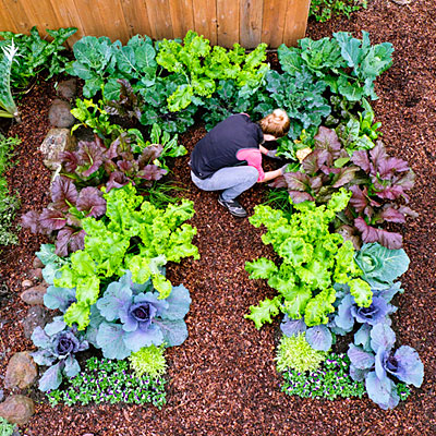 fall-vegetable-garden-ideas-59_9 Идеи за есенна зеленчукова градина