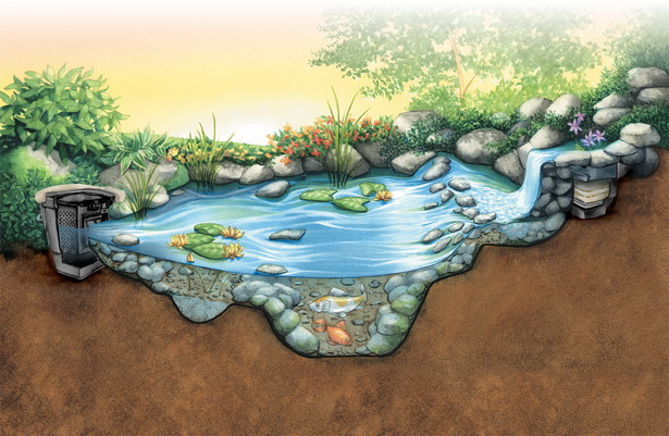 features-of-a-pond-41_14 Характеристики на езерце