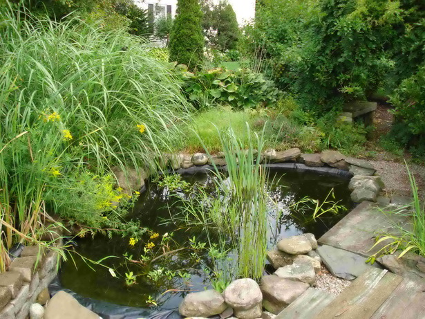 features-of-a-pond-41_16 Характеристики на езерце