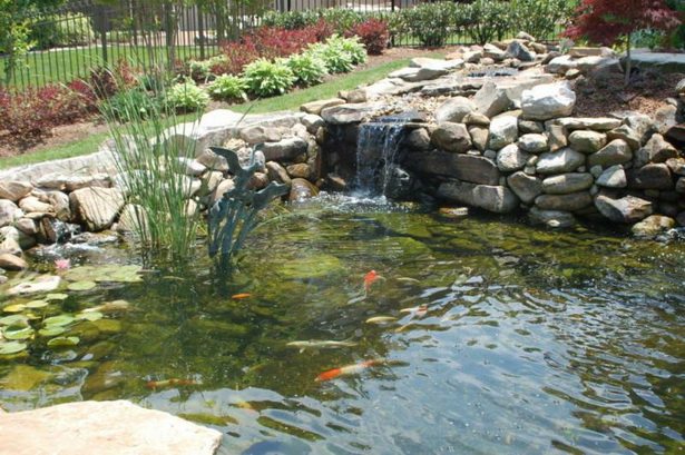 features-of-a-pond-41_6 Характеристики на езерце