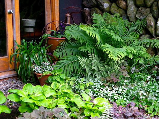fern-garden-design-ideas-12_16 Папрат Градина дизайн идеи