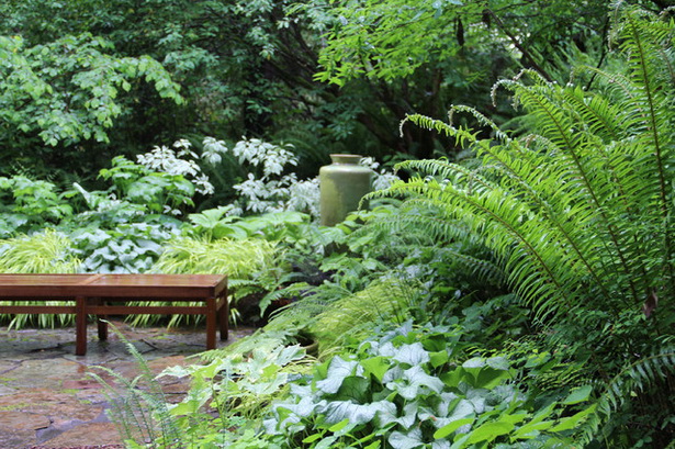 fern-garden-design-ideas-12_17 Папрат Градина дизайн идеи