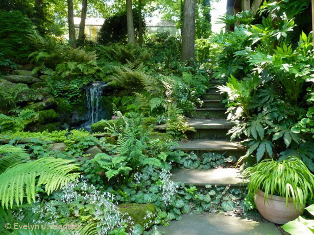 fern-garden-design-ideas-12_19 Папрат Градина дизайн идеи