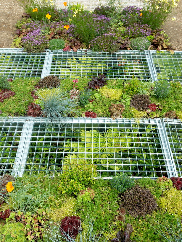 fern-garden-design-ideas-12_8 Папрат Градина дизайн идеи