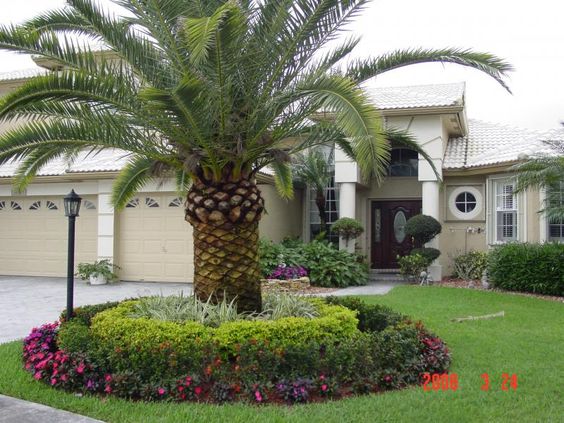 florida-tropical-landscaping-ideas-37_19 Флорида тропически идеи за озеленяване