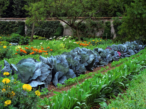 flower-and-vegetable-garden-design-50_2 Дизайн на цветна и зеленчукова градина
