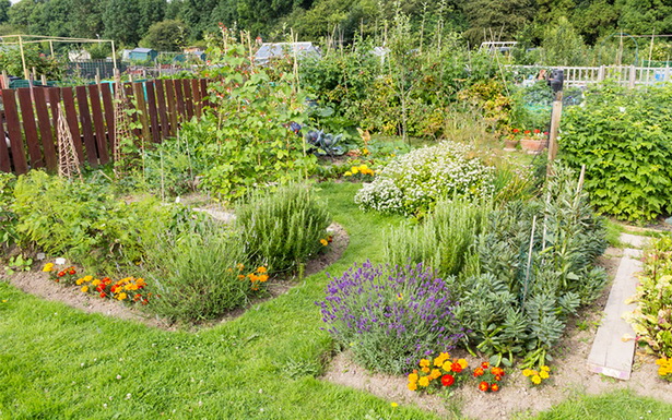 flower-and-vegetable-garden-design-50_5 Дизайн на цветна и зеленчукова градина