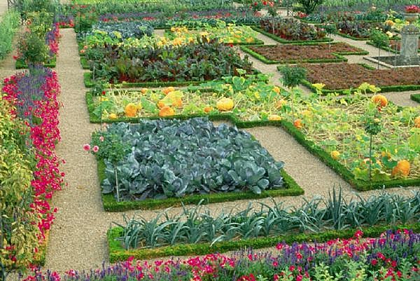 flower-and-vegetable-garden-design-50_8 Дизайн на цветна и зеленчукова градина