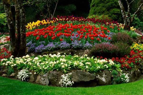 flower-bed-garden-ideas-69_18 Цветна леха градински идеи
