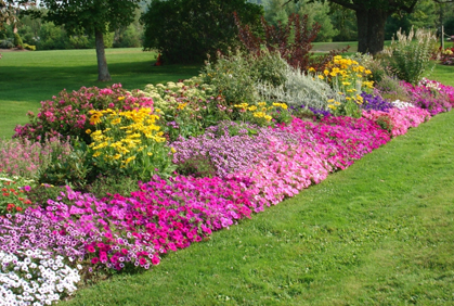 flower-bed-garden-ideas-69_3 Цветна леха градински идеи