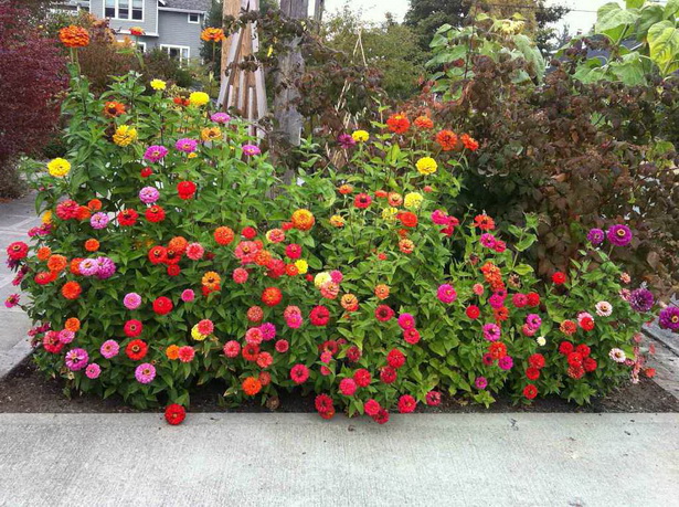flower-bed-ideas-for-shady-areas-25_11 Идеи за цветни лехи за сенчести райони