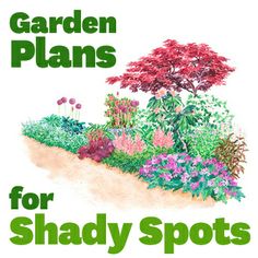 flower-bed-ideas-for-shady-areas-25_12 Идеи за цветни лехи за сенчести райони