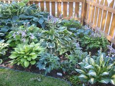 flower-bed-ideas-for-shady-areas-25_18 Идеи за цветни лехи за сенчести райони