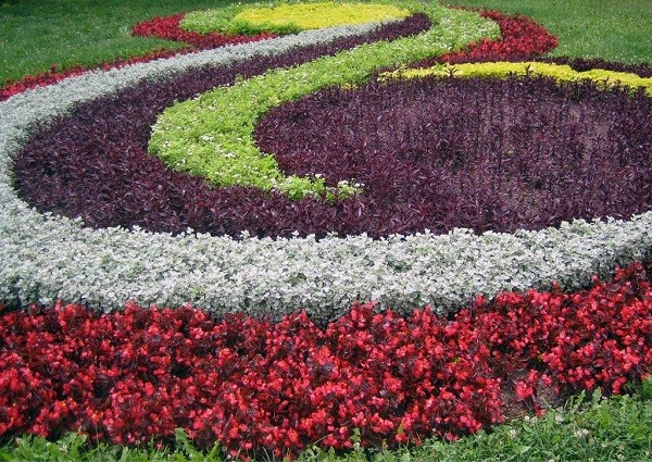 flower-bed-landscaping-86 Цветна леха озеленяване