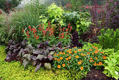 flower-bed-plants-ideas-33_3 Цветни лехи растения идеи