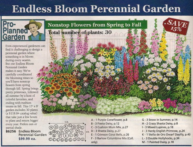 flower-bed-plants-ideas-33_9 Цветни лехи растения идеи