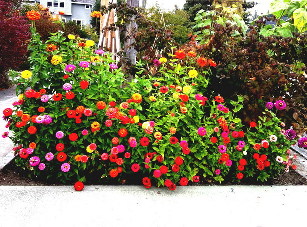 flower-garden-beds-01_10 Цветни градински лехи