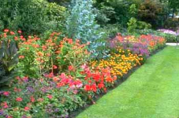 flower-garden-beds-01_11 Цветни градински лехи