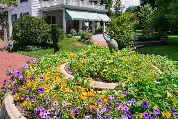 flower-garden-house-66_3 Цветна градина къща