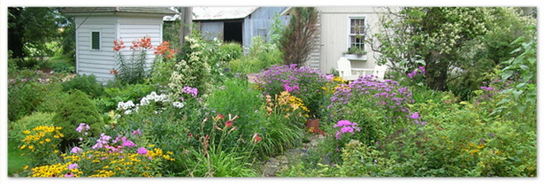flower-garden-plants-11_8 Цветни градински растения