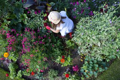 flower-gardening-tips-04_12 Съвети за градинарство на цветя