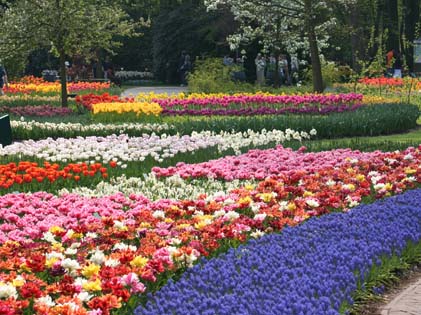flower-gardening-tips-04_18 Съвети за градинарство на цветя