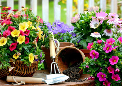 flower-gardening-tips-04_9 Съвети за градинарство на цветя