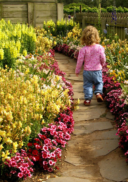 flowers-for-borders-garden-03_4 Цветя за граници градина