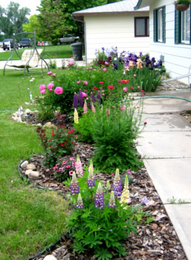 flowers-for-flower-beds-in-front-of-house-83_14 Цветя за цветни лехи пред къщата