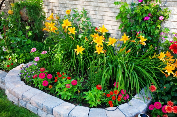 flowers-for-flower-beds-in-front-of-house-83_19 Цветя за цветни лехи пред къщата