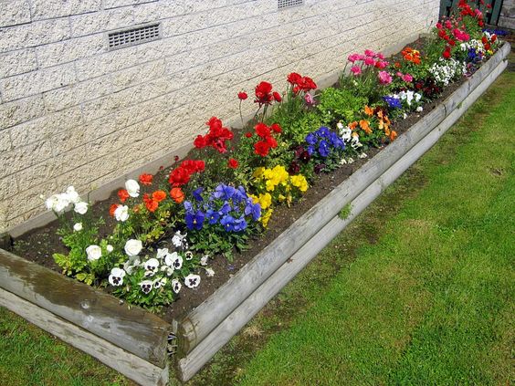 flowers-for-flower-beds-in-front-of-house-83_20 Цветя за цветни лехи пред къщата