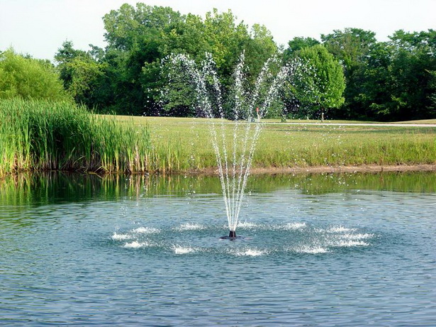 fountain-pond-14_18 Фонтан езерце
