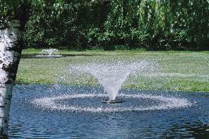 fountain-pond-14_8 Фонтан езерце