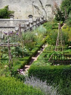 french-herb-garden-79_9 Френска билкова градина