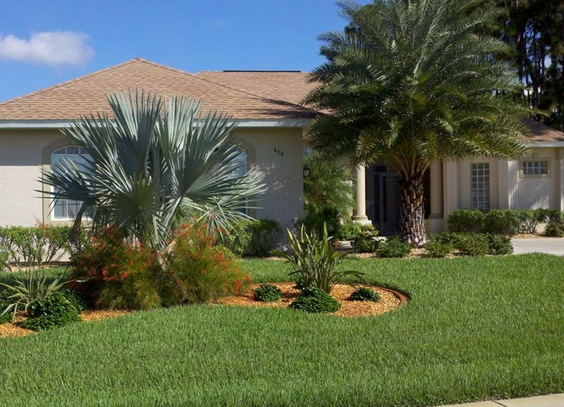 front-yard-landscaping-ideas-with-palm-trees-46_17 Идеи за озеленяване на предния двор с палми