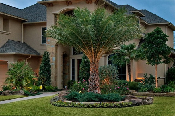 front-yard-landscaping-ideas-with-palm-trees-46_3 Идеи за озеленяване на предния двор с палми