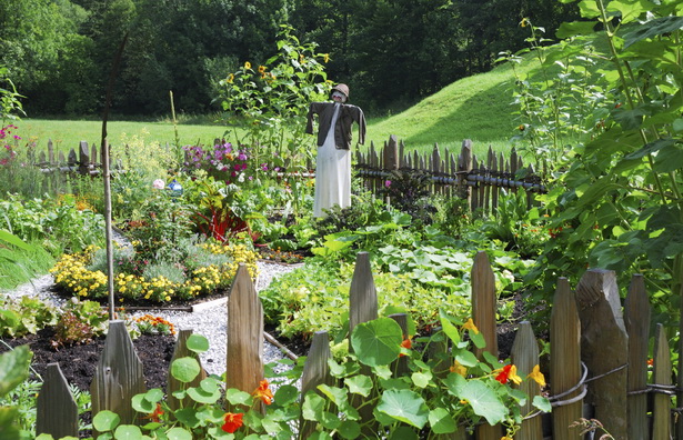 fruit-garden-design-ideas-24_3 Идеи за дизайн на овощна градина
