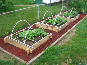 garden-boxes-for-vegetables-98_13 Градински Кутии за зеленчуци