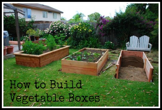 garden-boxes-for-vegetables-98_14 Градински Кутии за зеленчуци