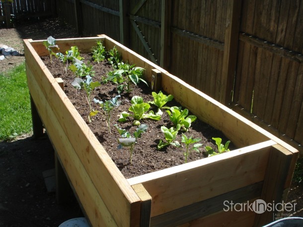 garden-boxes-for-vegetables-98_15 Градински Кутии за зеленчуци