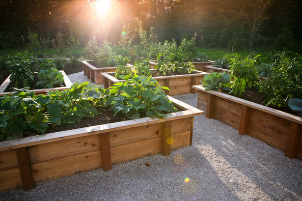 garden-boxes-for-vegetables-98_17 Градински Кутии за зеленчуци
