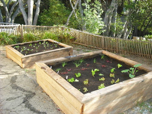 garden-boxes-for-vegetables-98_18 Градински Кутии за зеленчуци