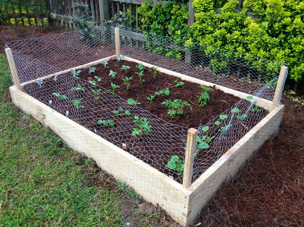 garden-boxes-for-vegetables-98_3 Градински Кутии за зеленчуци