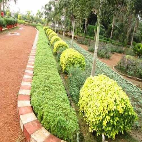 garden-design-india-05_13 Градински дизайн Индия