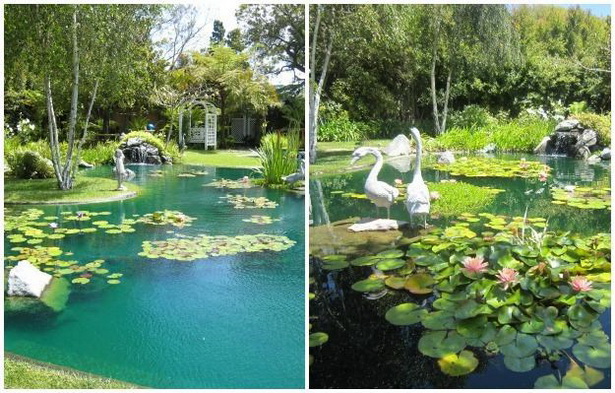 garden-design-with-pond-78_14 Градински дизайн с езерце